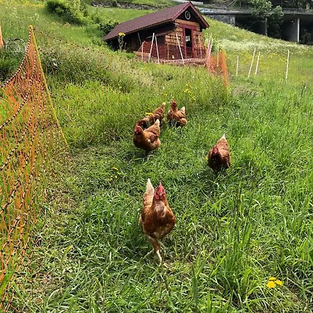 Brandstätter Heiligenblut am Großglockner